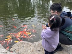 -青岛鑫江温德姆酒店