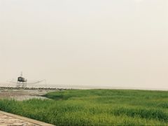 -南汇嘴观海公园