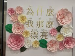 -Lab Season惜辰颜究社