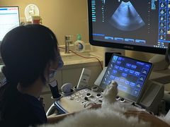 -御宝贝24h宠物医院·转诊中心·CT核磁血透中心(厦门总院)
