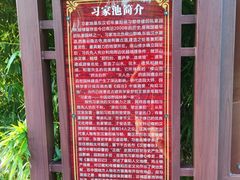 -习家池