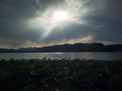 -湖畔居茶楼(湖滨店)