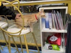 -博特宠物医院24h犬猫全科.骨科·异宠