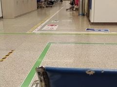 -首都医科大学附属北京天坛医院