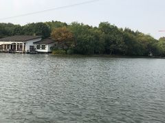 游乐设施-上海共青森林公园