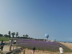 -渔岛海洋度假区