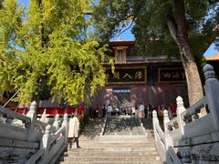 -宝通禅寺