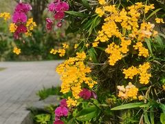 -东莞植物园