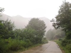 -历山猕猴源景区