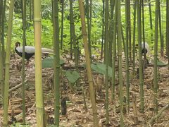 -福建鲤鱼洲酒店