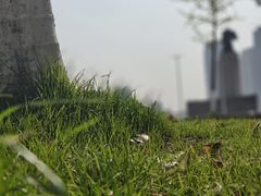 -湖州博物馆