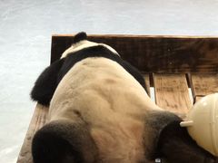-无锡动物园·太湖欢乐园
