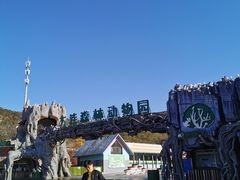 -大连森林动物园