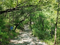 -阳台山自然风景区