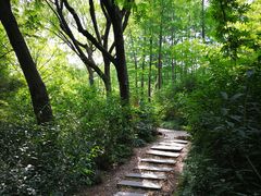 -新江湾城公园