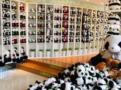 -大连森林动物园熊猫馆纪念品商店