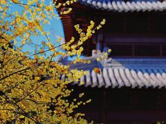 -钱王祠
