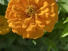 -长春公园(普阳街道)