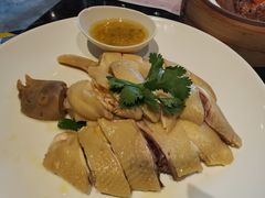 白切清远走地鸡-新兴·金羊座·粤菜点心(乐峰店)
