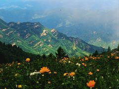 -驼梁风景区