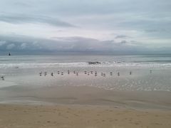 -海云台海滩