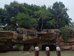 -海口观澜湖火山温泉谷