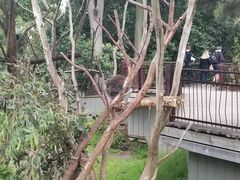 -威勒比开放式动物园