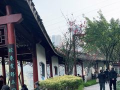 -重庆彩云湖湿地公园