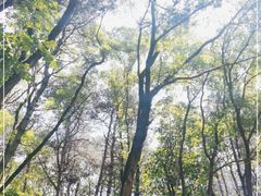 -萨尔浒风景区