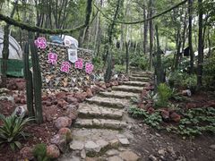 -帽儿山风景区