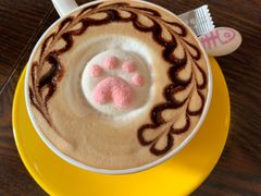 -名猫咖啡馆·撸猫·拼豆