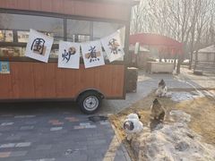 -1982农场