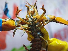 -79号渔船海鲜饭店(华强北店)