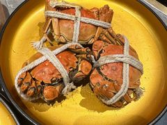 -一绪に寿喜烧(虹悦城店)