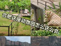 -合肥野生动物园