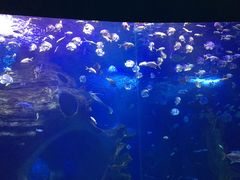 -多彩贵州城极地海洋世界