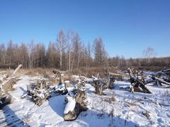 -北极村旅游风景区