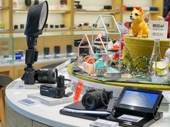 -Sony Store 索尼(上海淮海中路店)