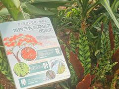 -上海鲜花港