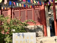 -北京上方山国家森林公园