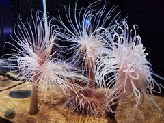 -秦皇岛新澳海底世界