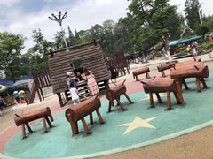 -成飞公园