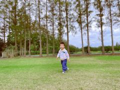 -前小桔亲子创意农场·草莓采摘·露营烧烤