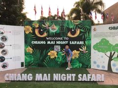 -清迈夜间动物园