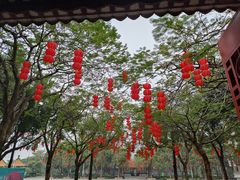 -顺峰山公园