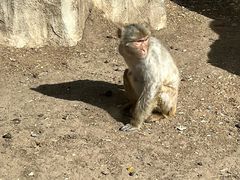-大青山野生动物园