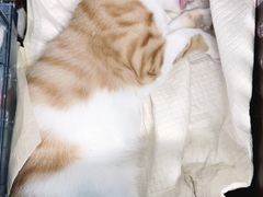 -天津前进宠物医院(前进道店)