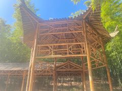 -宜兴龙背山森林公园