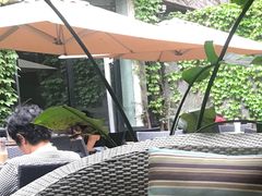 -上海艾本精品酒店