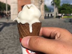 -富豪雪糕车流动点(尖沙咀店)